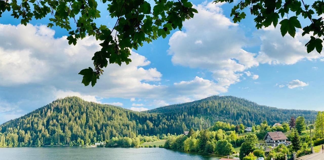 Le Chalet Au Bord Du Lac جوراردُميه المظهر الخارجي الصورة