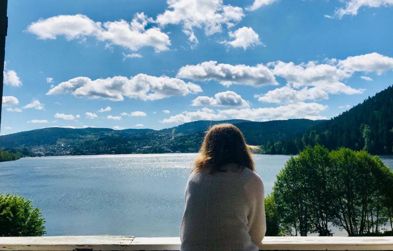 Le Chalet Au Bord Du Lac جوراردُميه المظهر الخارجي الصورة